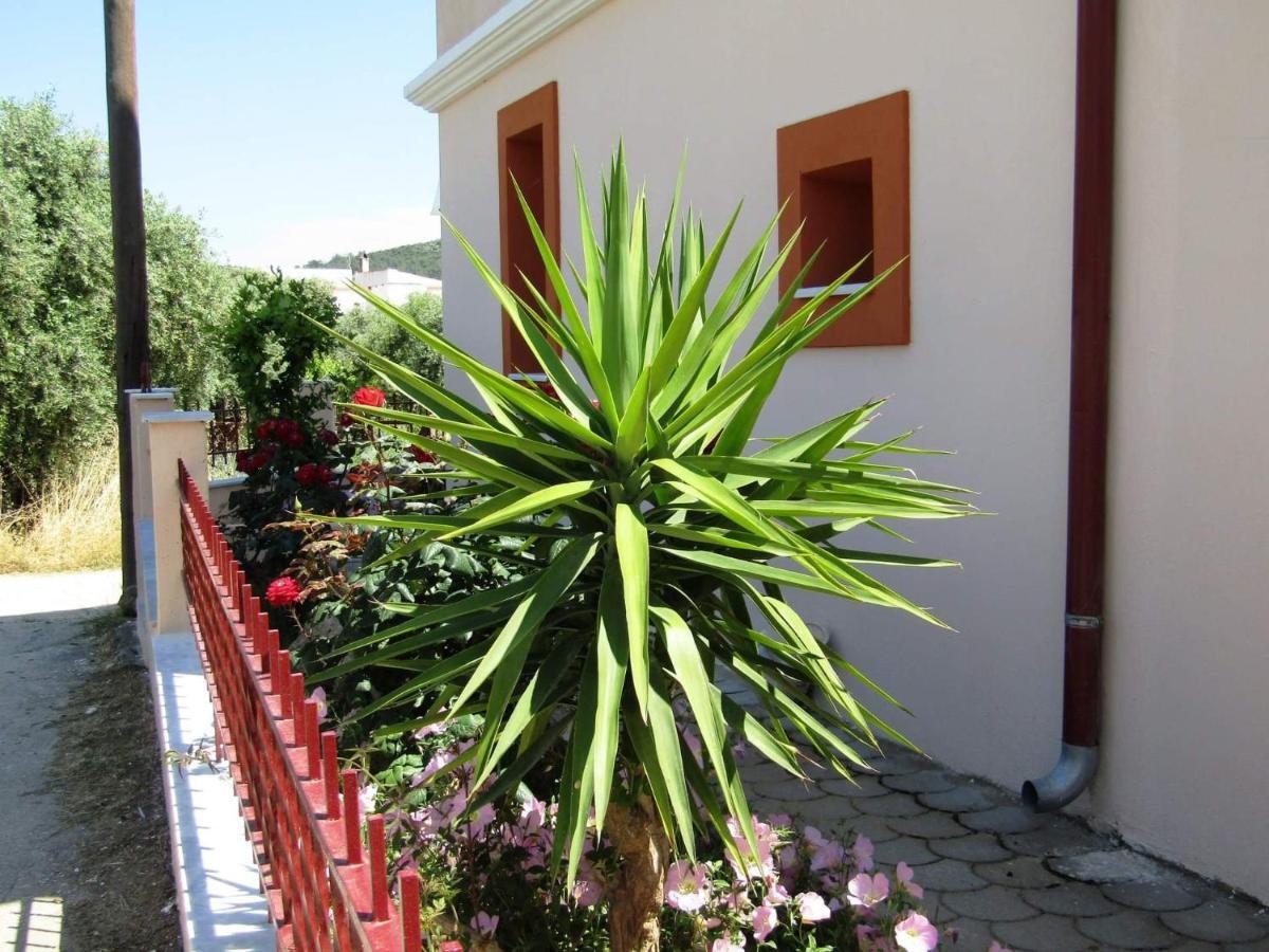 Apartmán Olive Grove House Limenaria  Exteriér fotografie