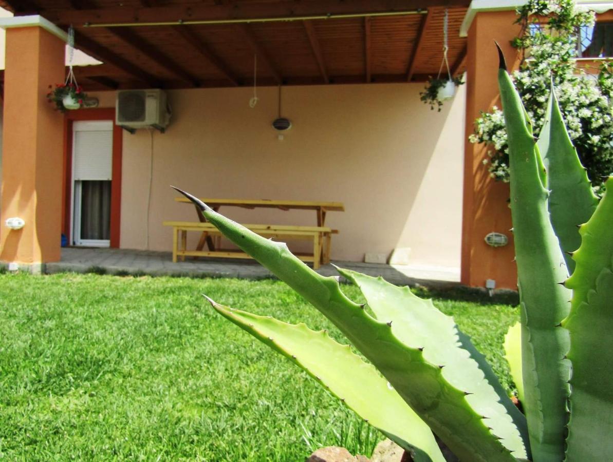 Apartmán Olive Grove House Limenaria  Exteriér fotografie